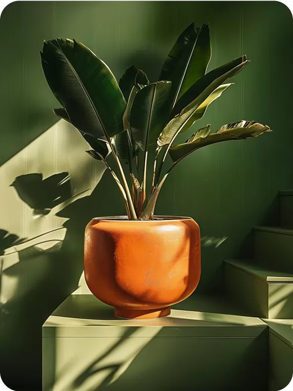 vibrant-pastel-pink-planter-with-tropical-leaves-on-teal-background-1